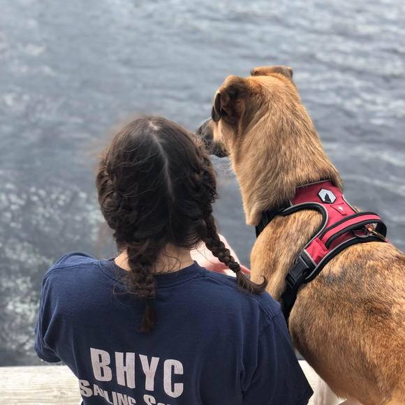 Meet your Posher, Madison - Picture 1 of 1